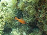 2013-09-12 12-22-39 Johan